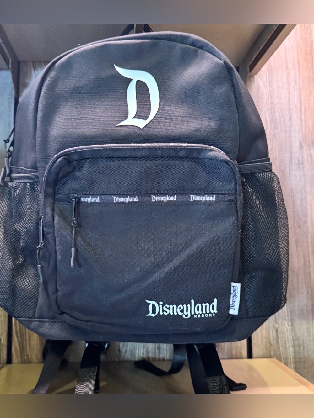 Disney Black Disneyland Logo Backpack for Men